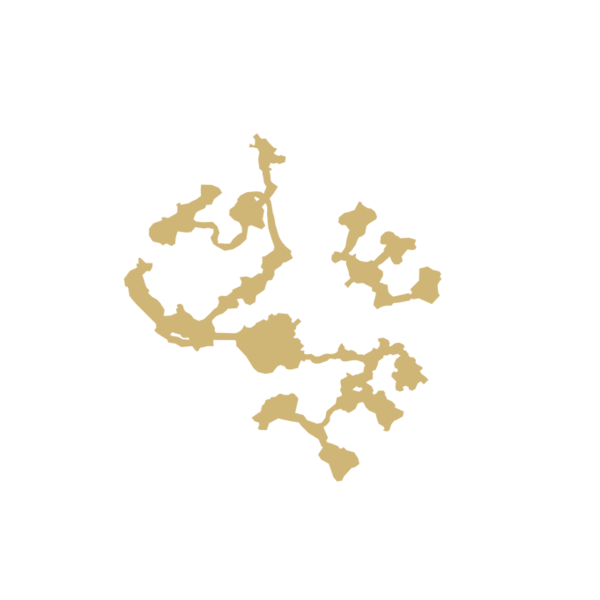 File:600px-Steam f coral 44 1.png