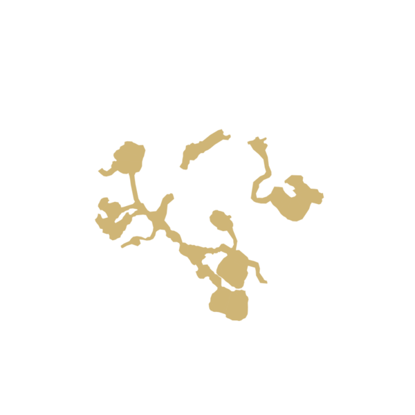 File:600px-D thorn 22.png