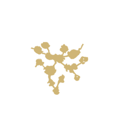 File:240px-F coral 44 2.png