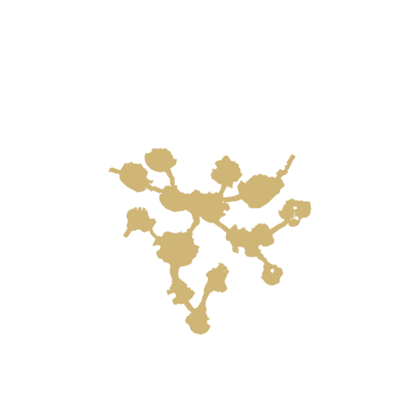 File:600px-F coral 44 2.png