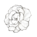 Thumbnail for version as of 22:28, 12 April 2026