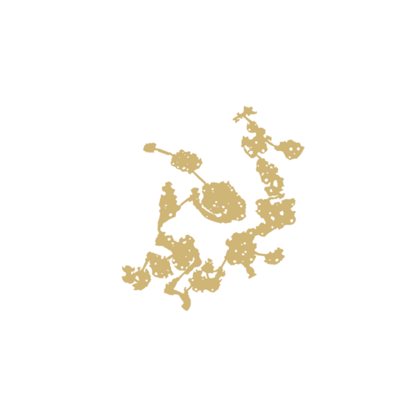 File:900px-F rokas 24.png