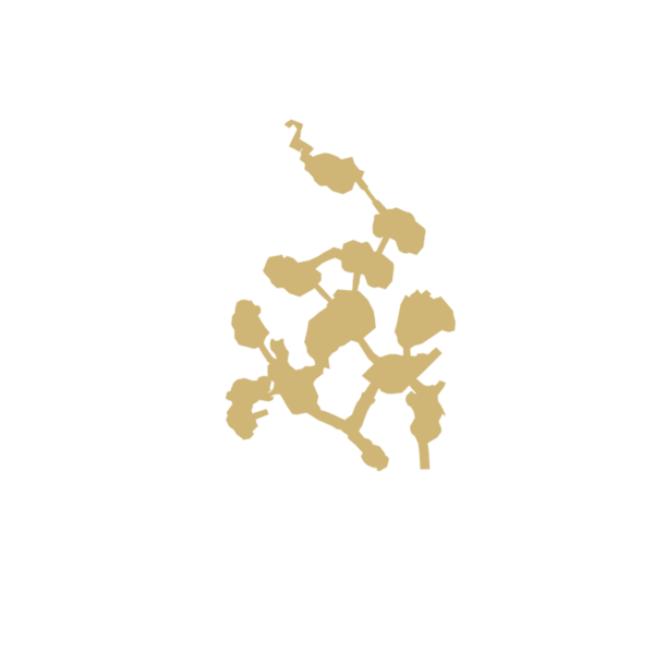 File:900px-GuildColony f remains 37 1.png